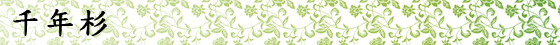 千年杉
